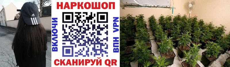 Магазин наркотиков Сычёвка A PVP АМФ Меф мяу мяу ГАШ Метамфетамин Каннабис