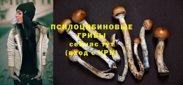 гидра Зерноград