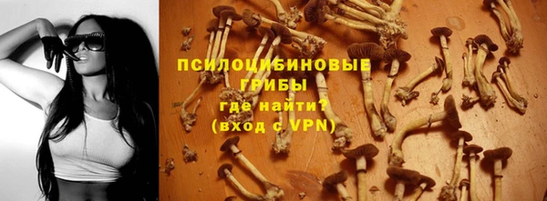 a pvp Касимов